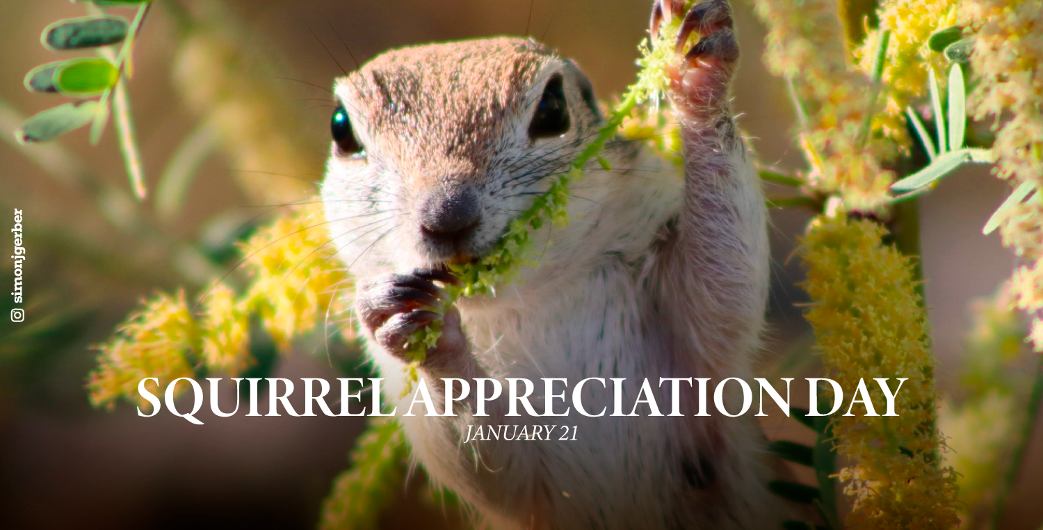 2024/05 – AZ State Parks Trails Plan